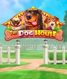 From Pragmatic Play comes The Dog House, featuring an adorable journey among charming canines. Discover features such as sticky wilds, designed for providing entertaining gameplay. Ideal for those who enjoy an amusing theme with a chance for big wins.