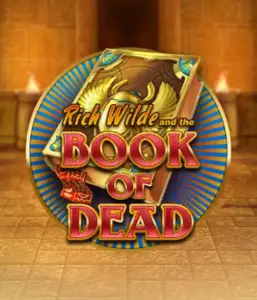 Dive into the thrilling world of Book of Dead by Play'n GO, presenting vivid graphics of Rich Wilde’s adventurous journey through ancient Egyptian tombs and artifacts. Uncover lost riches with captivating mechanics like free spins, expanding symbols, and a gamble option. Ideal for adventure enthusiasts with a desire for exciting finds.