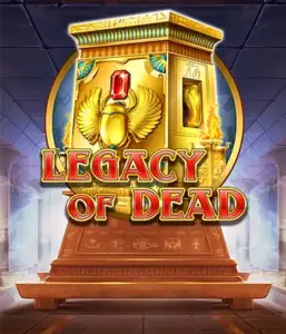 Experience  Legacy of Dead slot by Play'n GO with free spins and growing symbols, beginning with $0.10 bets.